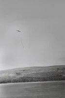 Зарница - фото 2