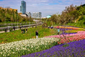 «Таза Қазақстан» - «Алматы – біздің ортақ үйіміз» - фото 4