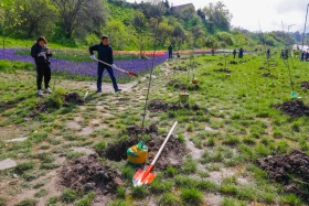 «Таза Қазақстан» - «Алматы – біздің ортақ үйіміз» - фото 15