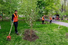 «Таза Қазақстан» - «Алматы – біздің ортақ үйіміз» - фото 16