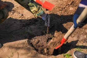 Вблизи канала Нура-Есиль в городе Косшы посадили две тысячи яблонь - фото 7