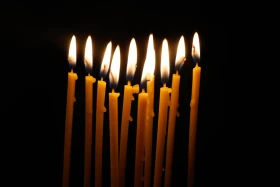 Алматылықтар Жеңістің 79 жылдығын тойлады - фото 2