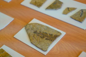 Ақсу-Жабағылы қорығы - фото 2