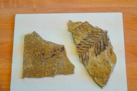 Ақсу-Жабағылы қорығы - фото 4