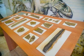 Ақсу-Жабағылы қорығы - фото 7