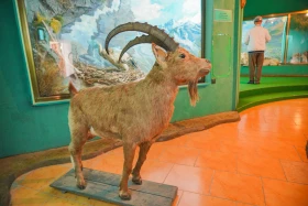 Ақсу-Жабағылы қорығы - фото 16