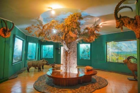 Ақсу-Жабағылы қорығы - фото 19