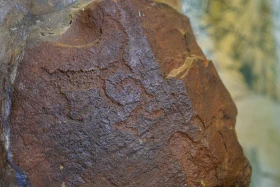 Ақсу-Жабағылы қорығы - фото 29