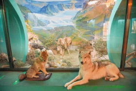 Ақсу-Жабағылы қорығы - фото 32