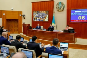 Мәжілістің жалпы отырысы - фото 5