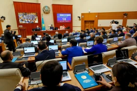 Мәжілістің жалпы отырысы - фото 8