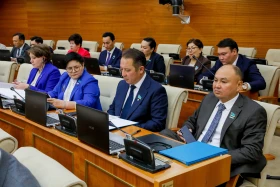 Мәжілістің жалпы отырысы - фото 11