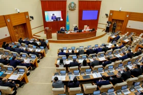 Мәжілістің жалпы отырысы - фото 12