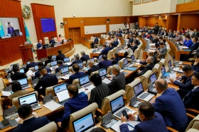 Мәжілістің жалпы отырысы - фото 14