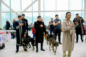 Астанада иттердің халықаралық көрмесі өтіп жатыр - фото 2