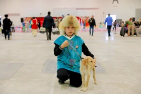 Астанада иттердің халықаралық көрмесі өтіп жатыр - фото 3