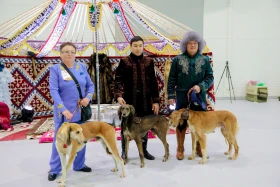 Астанада иттердің халықаралық көрмесі өтіп жатыр - фото 5