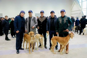 Астанада иттердің халықаралық көрмесі өтіп жатыр - фото 8