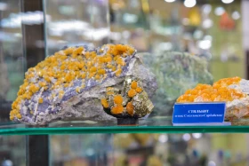 Астанадағы жалғыз минералогиялық мұражайда қандай сирек минералдар сақтаулы - фото 6