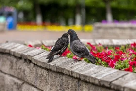 test_ru - фото 5