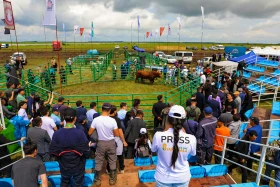 «JańaDala/GreenDay 2024» көрмесіне 200 компания қатысып жатыр - фото 14