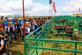 «JańaDala/GreenDay 2024» көрмесіне 200 компания қатысып жатыр - фото 15