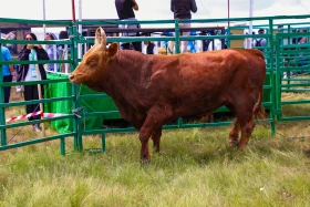 «JańaDala/GreenDay 2024» көрмесіне 200 компания қатысып жатыр - фото 19