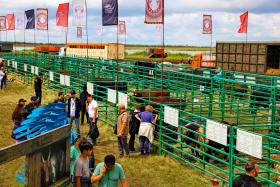 «JańaDala/GreenDay 2024» көрмесіне 200 компания қатысып жатыр - фото 25