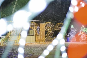 Қысқы Шымкент - фото 3