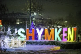 Қысқы Шымкент - фото 8