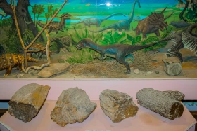 Жамбыл облысындағы тарихи-өлкетану мұражайы - фото 28