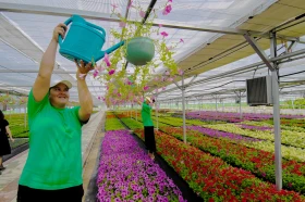 Тараздағы ауыл шаруашылығы - фото 4