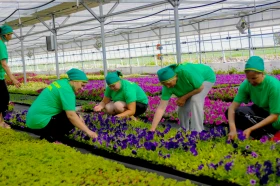 Тараздағы ауыл шаруашылығы - фото 7