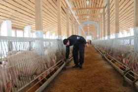 Тараздағы ауыл шаруашылығы - фото 8