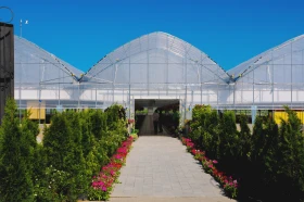 Тараздағы ауыл шаруашылығы - фото 12