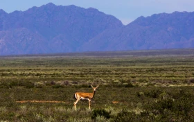 The Nature of Taldykorgan - photo 6