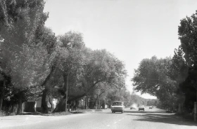 Тарихи Қызылорда - фото 16