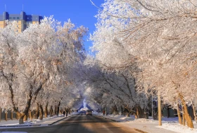 Қысқы Астана - фото 30