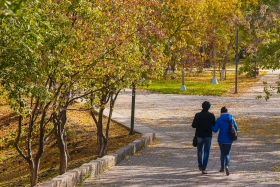 Елорданың алтын күзі - фото 16