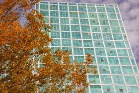 Елорданың алтын күзі - фото 19