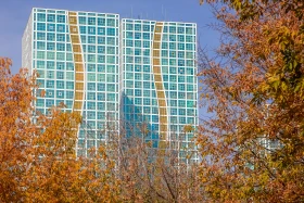 Елорданың алтын күзі - фото 21