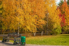 Елорданың алтын күзі - фото 25