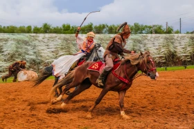 «Астана айналасындағы мыңжылдықтар» фестивалі - фото 4