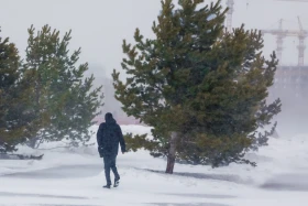 Астана желі - фото 22