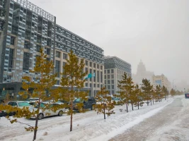 Қарлы Астана - фото 5