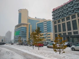 Қарлы Астана - фото 6