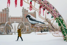 Қарлы Астана - фото 8