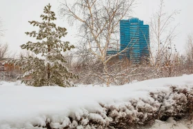 Қарлы Астана - фото 15