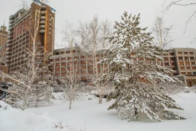 Қарлы Астана - фото 19