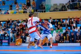 Дүниежүзілік көшпенділер ойыны: 5-ші Дүниежүзілік көшпенділер ойындарының екінші жарыс күні өз мәресіне жетті - фото 21